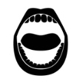 総義歯（ASSOシステム）