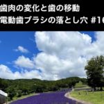 歯肉の変化と歯の移動・電動歯ブラシの落とし穴　note記事  #16